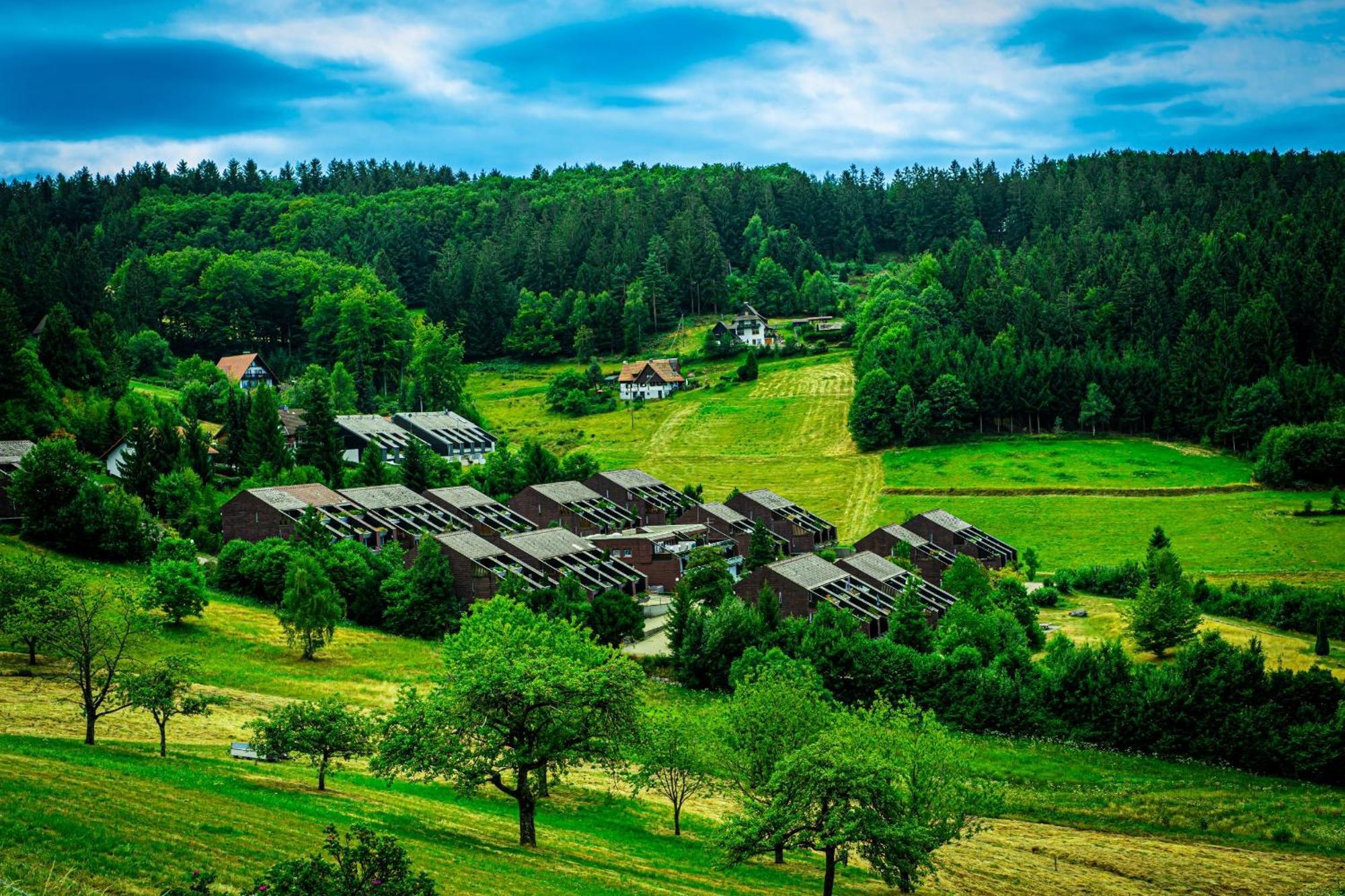 סאסבאכוואלדן Natur Tanken Im Schwarzwald מראה חיצוני תמונה